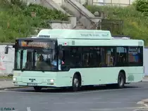 MAN Niederflurbus 2. Generation CNG der Stadtverkehrsgesellschaft mbH Frankfurt Oder in Frankfurt am 09.06.2016