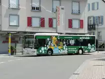 Tettnang, 25. July 2016 : Citaro I auf der Linie 3 eingesetzt...