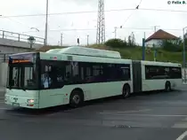 MAN Niederflurbus 2. Generation CNG der Stadtverkehrsgesellschaft mbH Frankfurt Oder in Frankfurt am 09.06.2016