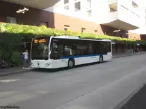 VBG/Maag Nr. 36 (Mercedes Citaro C2 O530) am 24.9.2016 beim Bhf. Wallisellen