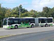 Mercedes Citaro III der Verkehrsgesellschaft Belzig mbH in Potsdam am 24.08.2015