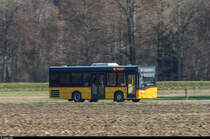 PAG Solaris Midibus am 20. November 2016 auf der Linie 550 von Gümmenen nach Laupen. Die Linie ersetzt auf diesem Abschnitt seit 1993 die Sensetalbahn.