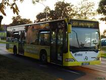 Mercedes Citaro I von Regionalbus Rostock in Güstrow am 12.09.2016