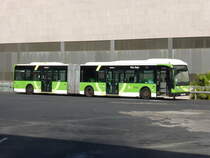 17.01.2017,Van Hool in Santa Cruz de Tenerife.