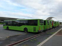 11.01.2017,VOLVO Castrosua B7R in Santa Cruz de Tenerife.