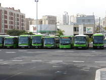 13.01.2017,Busbahnhof in Santa Cruz de Tenerife.