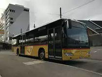 Citaro Facelift  von PostAuto Richtung Mühleberg, am 2.3.17 bei Brünnen westside.