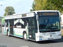 Mercedes Citaro II der Stadtwerke Greifswald in Greifswald am 16.09.2016