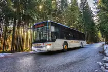 Ein Setra S 415 NF von Siebler Reisen, aufgenommen am 2.3.2017, nahe der Haltestelle nahe der Haltestelle Berg im Drautal Lassin.
Unterwegs war der Bus auf der Kfl. 5021 als Kurs 11 (Oberdrauburg Bahnhof - Gerlamoos).