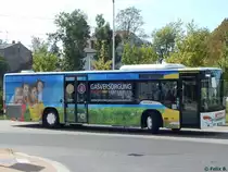 Setra 415 NF der Verkehrsbetrieb Greifswald-Land GmbH in Greifswald am 16.09.2016