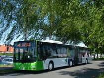 Sonniges Pfingswochenende und grne Bume und Hako 53 am Maximilianpark in Hamm. 