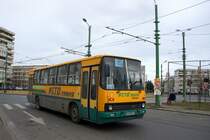 Rumänien / Bus Arad: Ikarus von PITO TRANS S.R.L. ARAD, aufgenommen im März 2017 im Stadtgebiet von Arad.