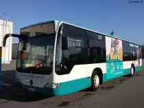 Mercedes Citaro II der Neubrandenburger Verkehrsbetriebe in Neubrandenburg am 12.11.2016