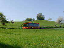 RBS - Mercedes Citaro  Nr.204  BE  800204 unterwegs nach Solothurn bei Leuzigen am 10.04.2017