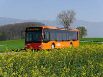 RBS - Mercedes Citaro Nr.206  BE 800206 unterwegs nach Büren an der Aare / Zollikofen bei Leuzigen am 10.04.2017