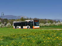 BSU - Mercedes Citaro Nr.91 SO 172091 unterwegs bei Zuchwil am 08.04.2017