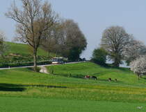 BSU - Mercedes Citaro Nr.96 SO 172096 unterwegs für die RBS auf der Überlandlinie von Zollikofen nach Solothurn bei Leuzigen 08.04.2017