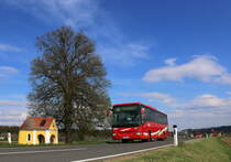 Nicht ganz so grün ist der Lindenbaum der der Kapelle Schatten spenden wird.
20.04.2017 bei Gasselsdorf in der Weststeiermark