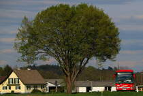  BAM OLTA  oder wie ging dieser Spruch ? 
GKB Bus bei Trag in der Weststeiermark am 20.April 2017