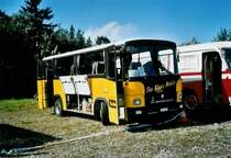 Albatros, Emmenbrcke LU 15'653 Magirus-Deutz (ex Bossert, Menzberg) am 16. August 2008 Atzmnnig, Wohnbustreffen