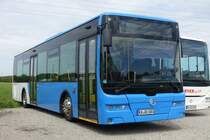 Golden Dragon (chinesischer Hersteller)  Werner , Malsch 11.05.2017