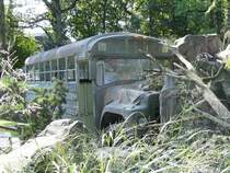 11.09.08,ZOOM-Erlebniswelt in Gelsenkirchen,ausgemusterter Bus der US-Army in der Themenwelt Alaska.
