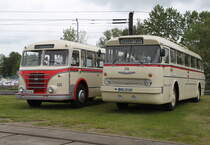 Kraftomnibus 233 und der Ikarus 66 waren vor dem Depot 12 in Rostock-Marienehe abgestellt.20.05.2017
