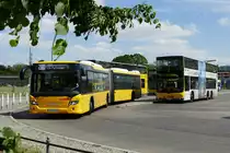 Scania Citywide, Wagen '4629' und MAN Lion's City DD der BVG Wagen '3464' in Berlin /Hertzallee im Mai 2017.