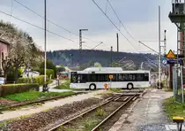 Ein MAN CNG Niederflurbus (Nr. 122) der SÜC, überquert am 12.4.2017 den Bahnübergang beim Bahnhof Creidlitz.
Unterwegs war der Bus auf der Linie 1 (Niederfüllbach - Theaterplatz - Coburg Bahnhof ZOB - Bertelsdorf/Wpl).