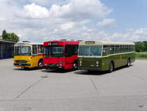 Bustag 2017 in Burgdorf - ex SVB ( Bern Mobil ) FBW Nr.157 unterwegs auf Fotoextrafahrt in Lyssach am 25.06.2017
