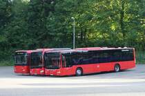 Südwestbus Depot Bretten, 30.06.2017