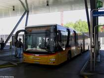 Die Lichtverhältnisse beim Busbahnhof des Zürcher Flughafen sind nicht immer die Besten, dennoch versuchte ich den MAN Nr. 313 der Regie ZH-Unterland am 10.5.2017 zu fotografieren, und war positiv überrascht vom Ergebnis