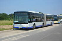 Am 04.06.2016 fährt P-AV 361 für die ILA 2016 Shuttle zwischen Parkplatz und ILA-Gelände. Aufgenommen wurde ein MAN Lion's City G der BVSG, Betriebshof Werder (Havel).
