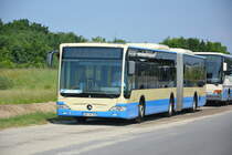 Am 04.06.2016 fährt LDS-VG 246 für die ILA 2016 Shuttle zwischen Parkplatz und ILA-Gelände. Aufgenommen wurde ein Mercedes Benz Citaro G I Facelift der RVS.
