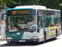 Mercedes Citaro I vom Verkehrsbetrieb Potsdam in Potsdam am 07.06.2015