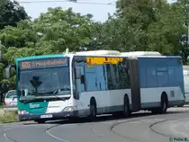 Mercedes Citaro II vom Verkehrsbetrieb Potsdam in Potsdam am 07.06.2015