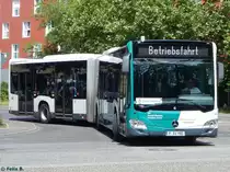 Mercedes Citaro III vom Verkehrsbetrieb Potsdam in Potsdam am 07.06.2015