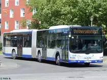MAN Lion's City von Havelbus in Potsdam am 07.06.2016