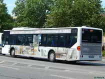 Mercedes Citaro I der Beelitzer Verkehrs- und Servicegesellschaft mbH in Potsdam am 07.06.2016