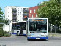 Mercedes Citaro I der Beelitzer Verkehrs- und Servicegesellschaft mbH in Potsdam am 07.06.2016