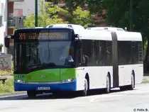 Solaris Urbino 18 der Beelitzer Verkehrs- und Servicegesellschaft mbH in Potsdam am 07.06.2016