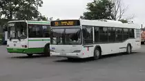 MAZ (Мінскі аўтамабільны завод, Minski autamabilny sawod) Linienbus in Kolpino / St. Petersburg, 15.7.17