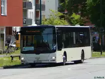 MAN Lion's City von Günter Anger aus Deutschland in Potsdam am 07.06.2016