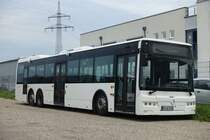 Golden Dragon (chinesischer Hersteller)  Werner , Malsch 03.08.2017 