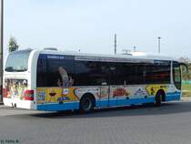 MAN Lion's Regio der MVVG in Neubrandenburg am 14.10.2016