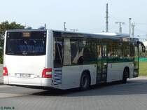 MAN Lion's City LE Ü der MVVG in Neubrandenburg am 14.10.2016