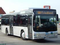 MAN Lion's City LE Ü der MVVG in Neubrandenburg am 14.10.2016