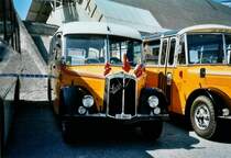 Suter, Savi�se VS 6045 Saurer/Lauber (ex P 21'016) am 30. August 2008 Niederbipp, Saurer-Treffen