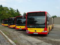 HSB Bus Parade am 26.08.17 beim Tag der offenen Tür der Hanauer Straßenbahn