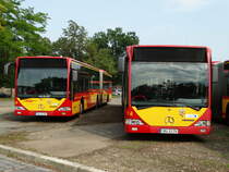 HSB Mercedes Benz Citaro 1 G Wagen 80 und 74 am 26.08.17 beim Tag der offenen Tür der Hanauer Straßenbahn